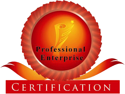 Professional Enterprise Certificate